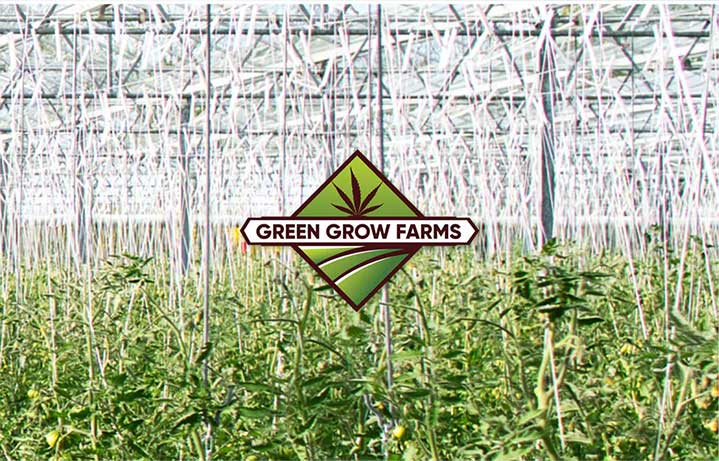 Green Grow Farms Can-B-Corp (OTCQB: CANB)
